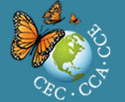 CEC_-_CEC_Talks_Webcast_CECTalks_Webcast_-_Google_Chrome_2013-07-11_13-17-30